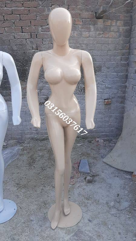 All types dummy manufacturer |All types mannequin seller 6