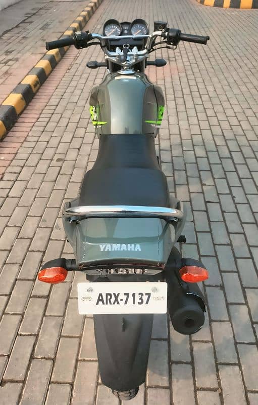 YAMAHA YBR125 G 7