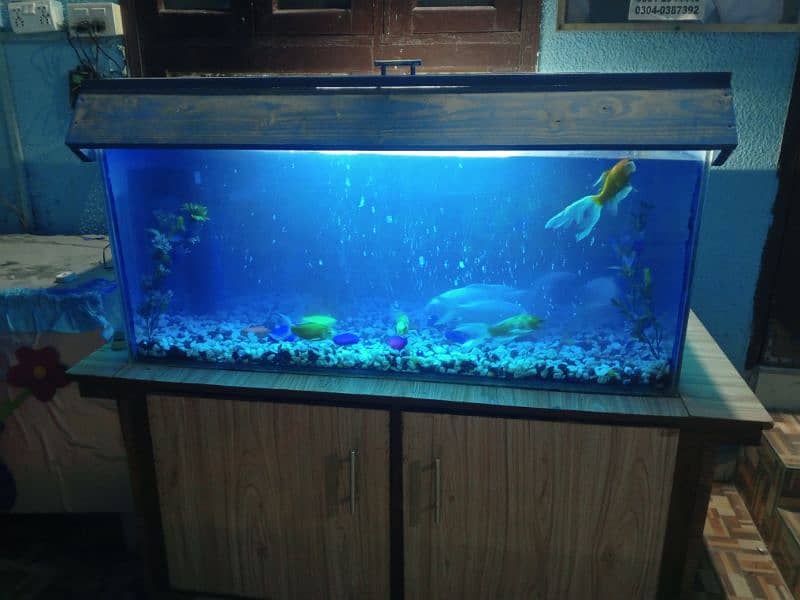 aquarium care centre 3