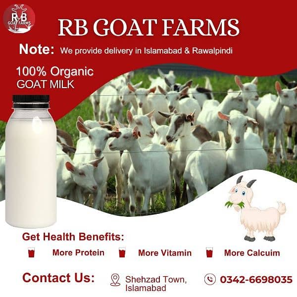 Fresh & Pure Goat Milk with Delivery Services 1