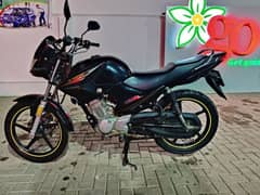 Yamaha ybr 125