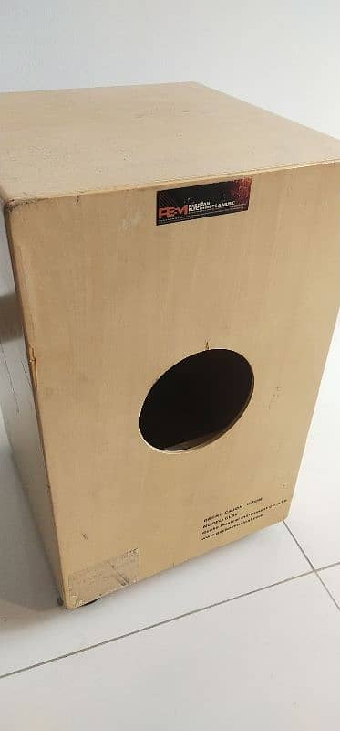 Gecko Cajon 2