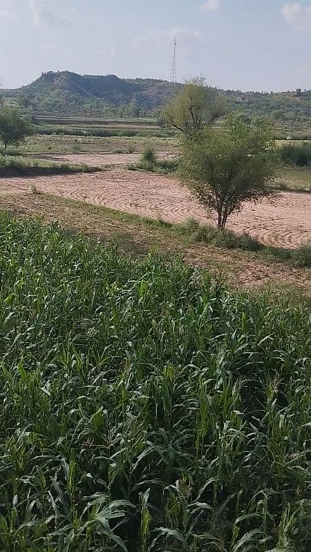 553 kanal land for sale 0