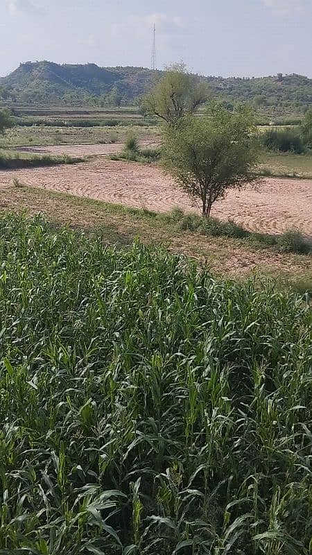 553 kanal land for sale 1