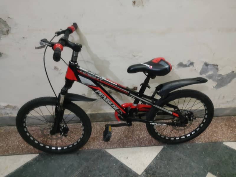 PENGCHI Bike for Sale for 8 to 9 Years old Kids 0