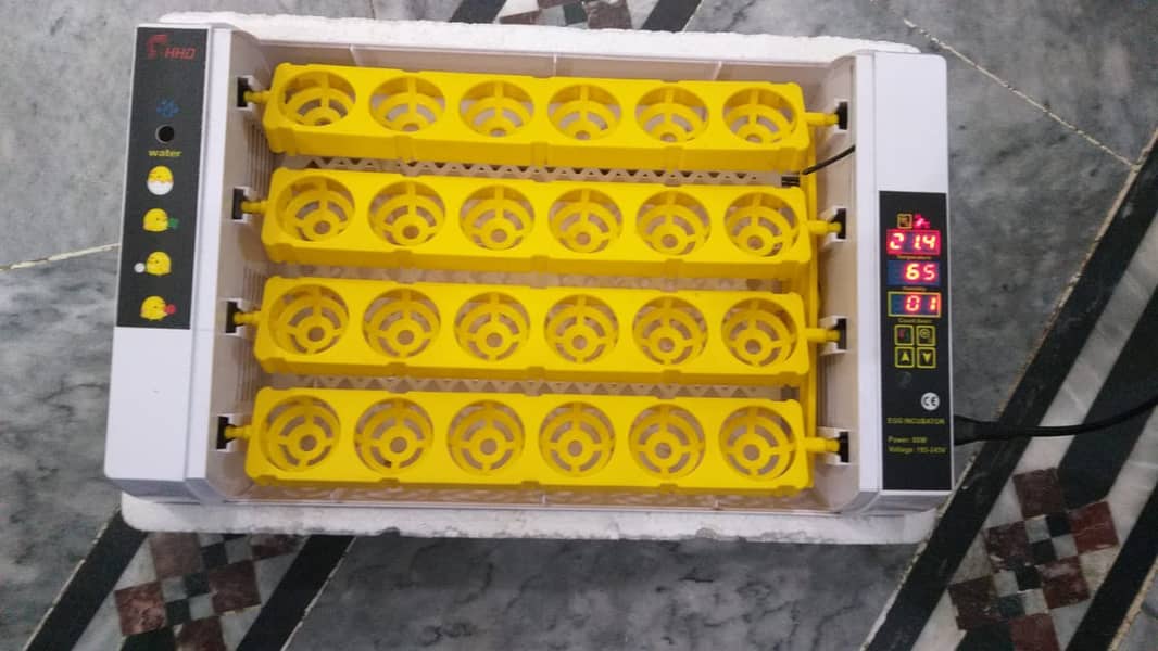 24-Eggs Full automatic incubator available for sele 4