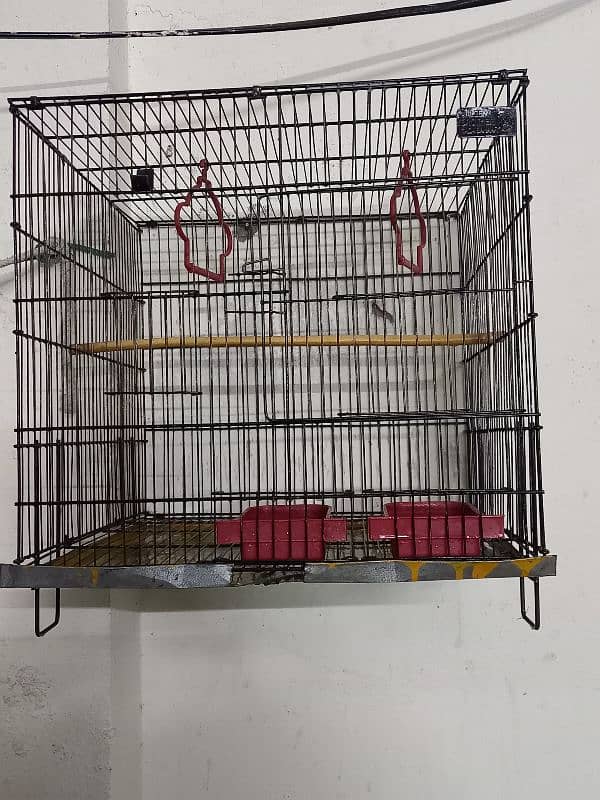 cage for sale 1