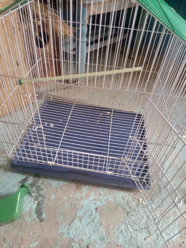 cage for sale hut shape 4