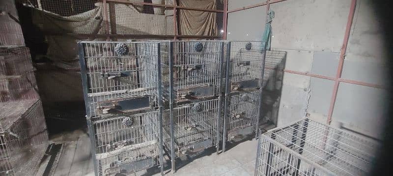 cages and boxes 2