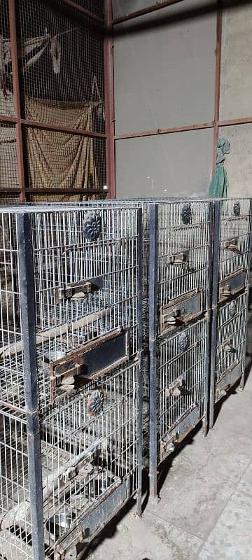 cages and boxes 8