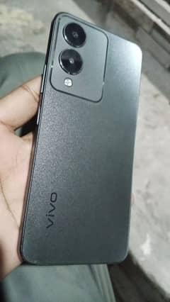 Vivo