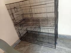 Birds Cage For Sale