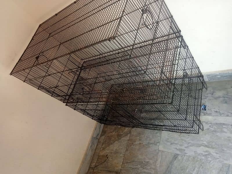 Birds Cage For Sale 2