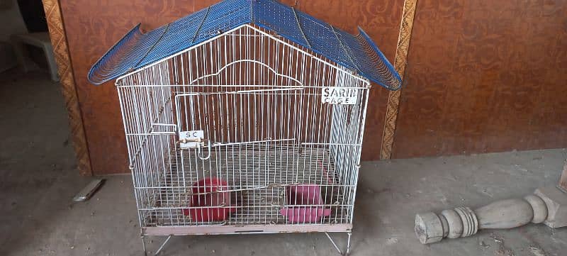 bird cage 7