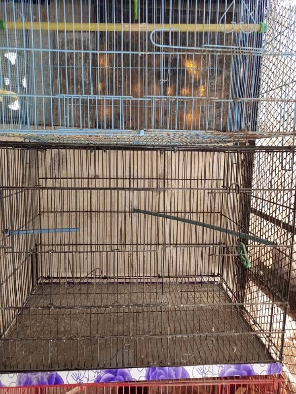 Cage sale Bird 3