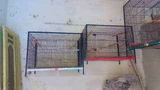 flying cages saiz 2.3