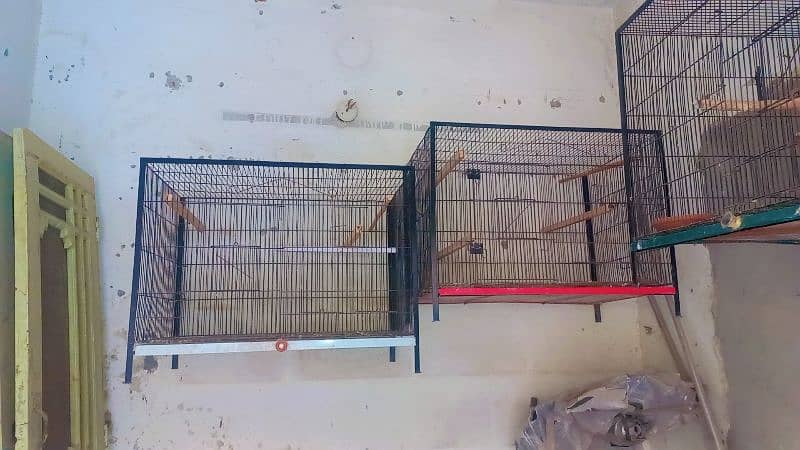 flying cages saiz 2.3 0