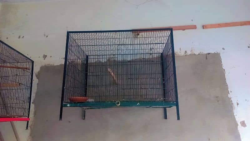 flying cages saiz 2.3 1