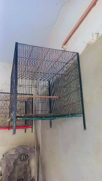 flying cages saiz 2.3 2