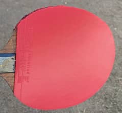 Table tennis rubbers Evolution MXP