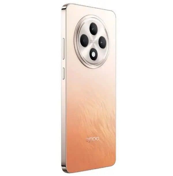 Oppo reno 12f 1