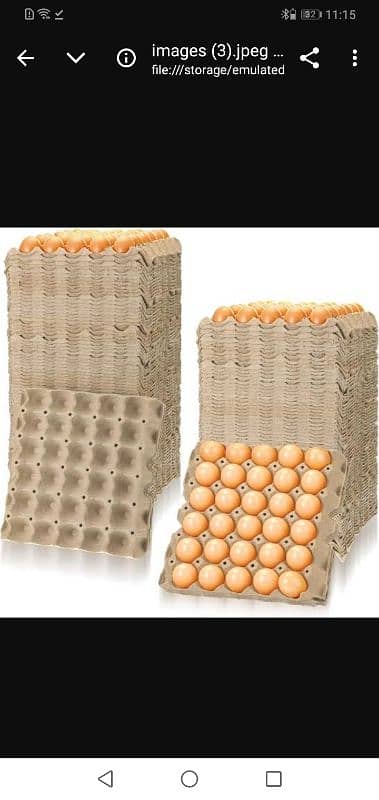 Egg tray 3