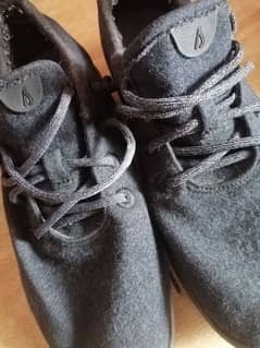 Allbirds Men Original Shoes