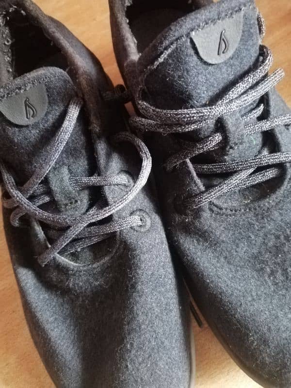 Allbirds Men Original Shoes 0