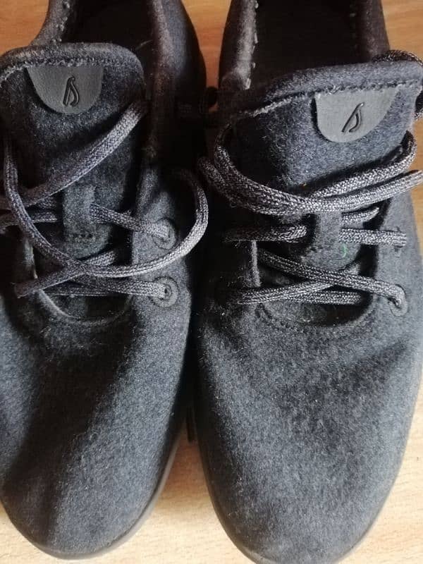 Allbirds Men Original Shoes 5