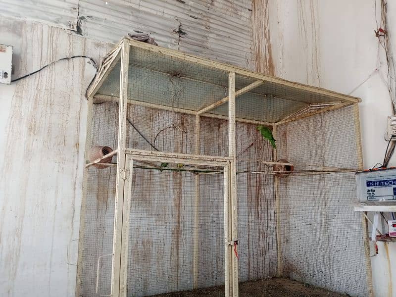 bird cage for sale 0