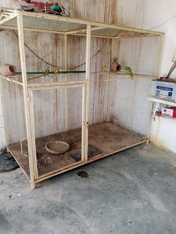 bird cage for sale 1