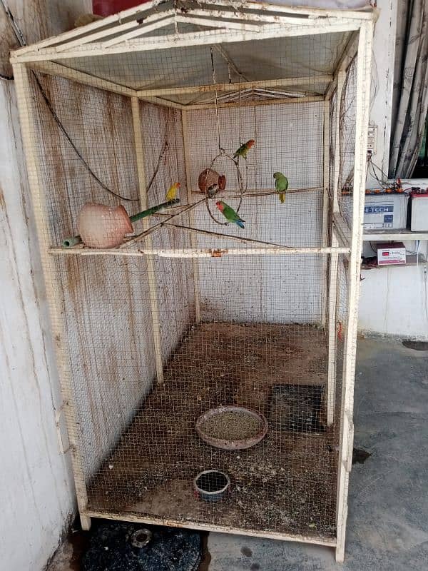 bird cage for sale 2