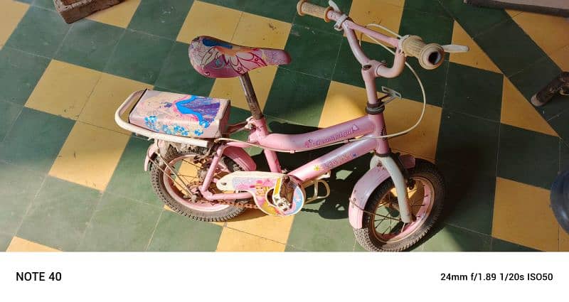 girls bicycle 0