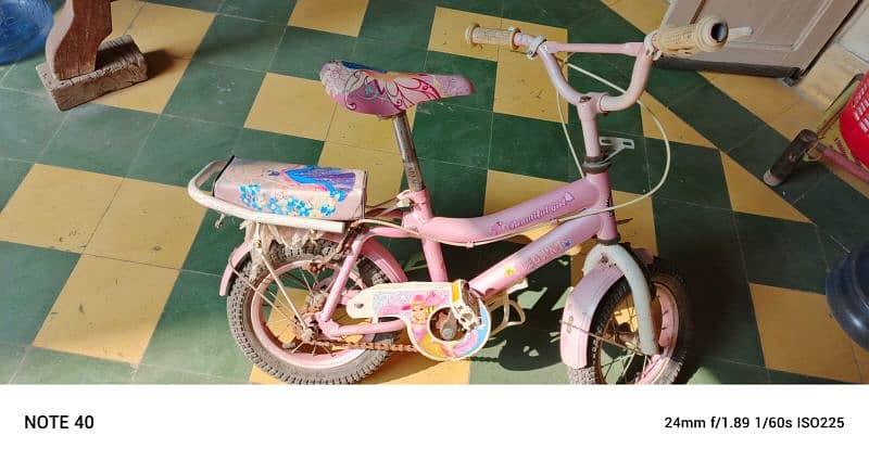 girls bicycle 2