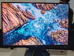 HP Borderless Gaming Monitor