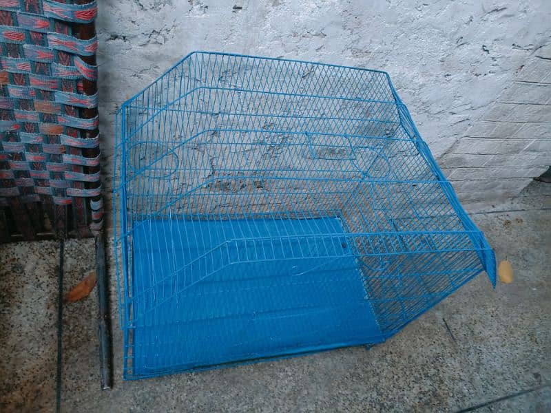 big cage for parrots 2