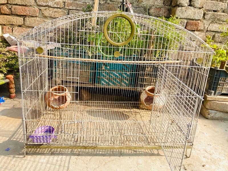 Bird Cage large size 3