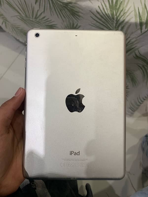 ipad back 0