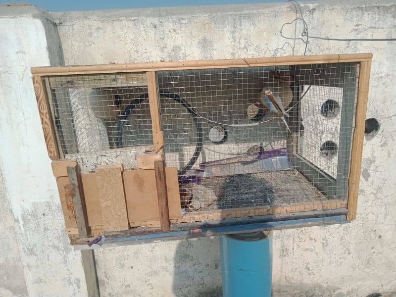 cage for sale urgent 1