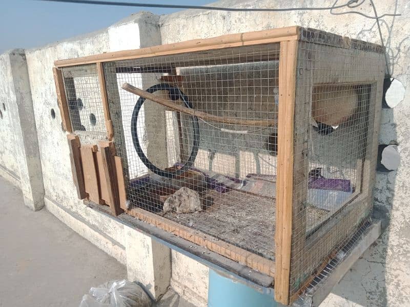 cage for sale urgent 2