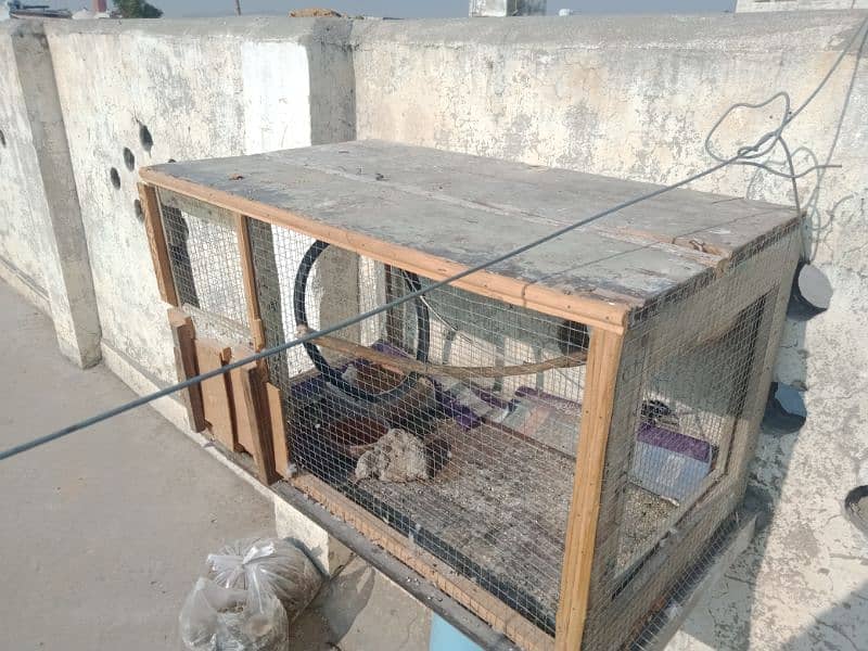 cage for sale urgent 3