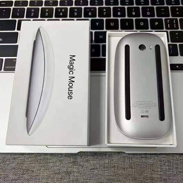 Apple Magic Mouse 2 0