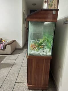 Aquarium