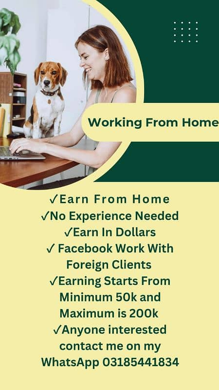 Online Work From Home 0