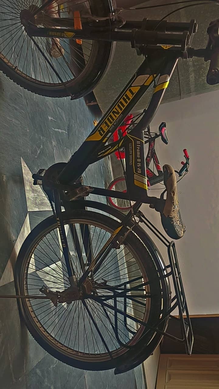 Bicycle for sale 1