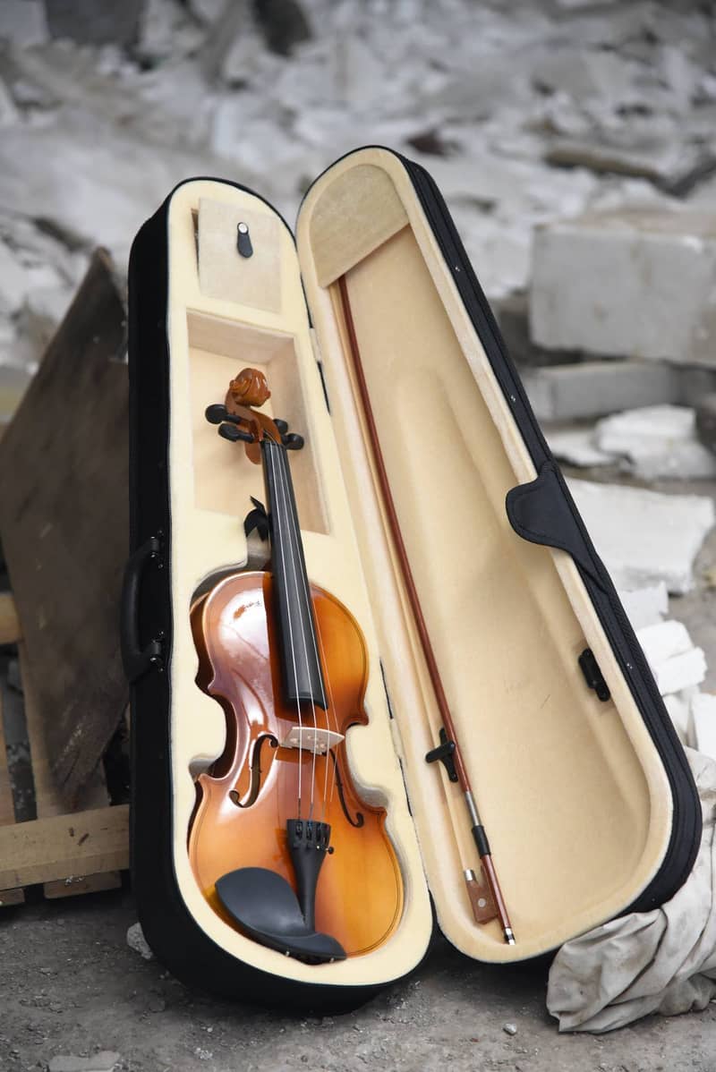 Acoustic Violin 4/4 Box packed with acessoires Best violin store 8