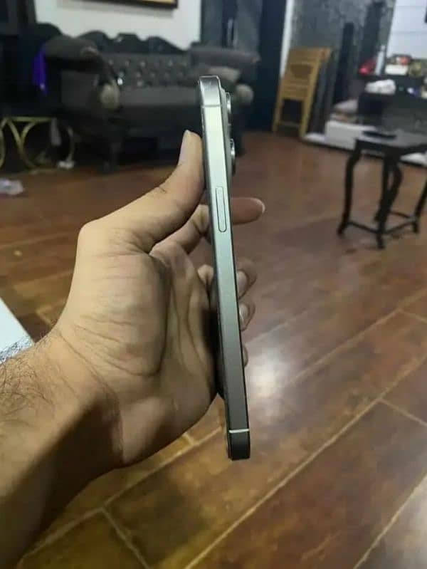 iPhone 15 Pro Max PTA Back Bark 3