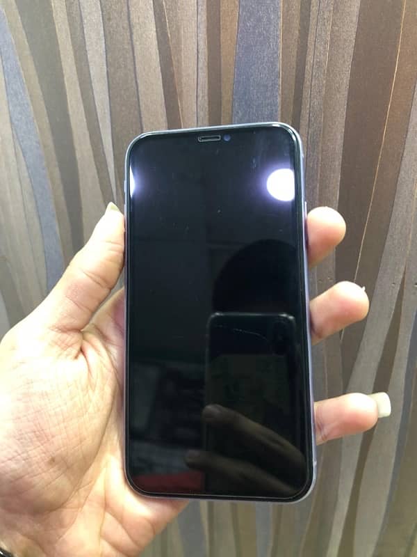 iphone 11 pTa approved 3