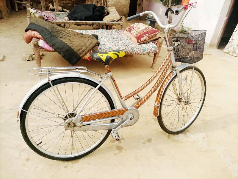 JAPANESE BICYCLE 12