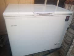 Haier company d freezer for sale